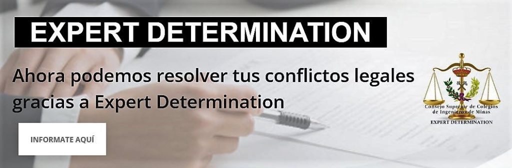 Expert Determination - Consejo Superior de Colegios de Ingenieros de Minas